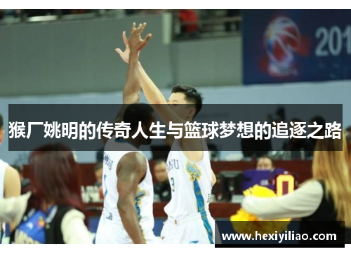 猴厂姚明的传奇人生与篮球梦想的追逐之路