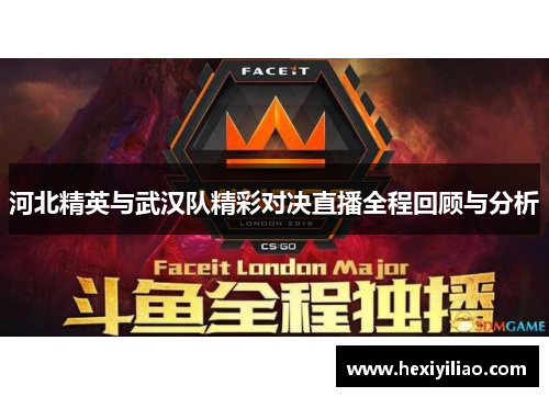 河北精英与武汉队精彩对决直播全程回顾与分析